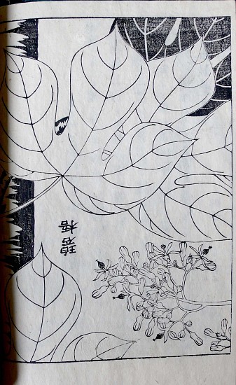 Ranzan and Mitsufusa SHIMADA ONO, Kai [Selected Flowering Plants, new proof read edition]
1759
