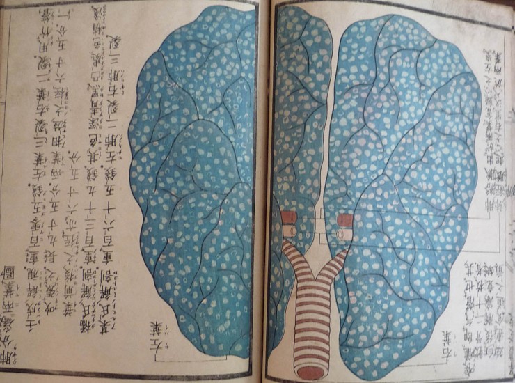 Mitani Koki, Kaitai Hatsumo (A New Work of Anatomy)
1813