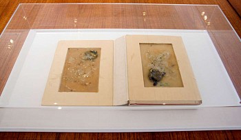 Roth Graphics Exhibition 2007 Page