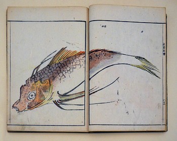 3061
