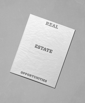real estate opprtunities