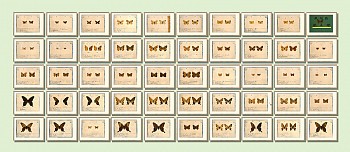 MAILING LIST BOOTH LAYOUT50 off reduction LD2 copy900dpi