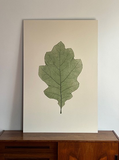 Alois Auer, Oak Leaf
2026